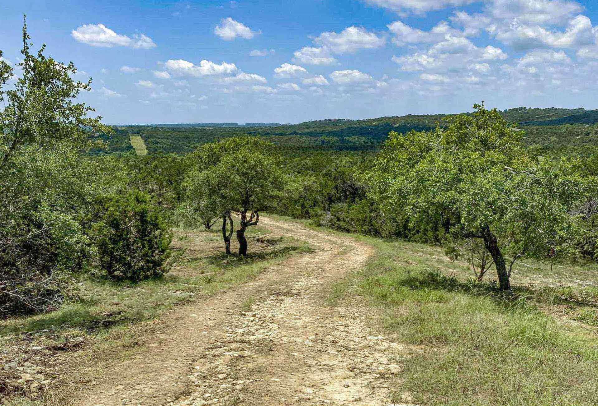 17.6 Acres of Prime Hill Country Land